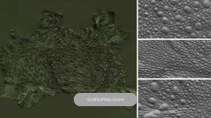 دانلود تکسچر حیوانات از Texturing xyz