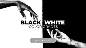 دانلود پریست رنگ سیاه و سفید افترافکت Black And White Color Grades