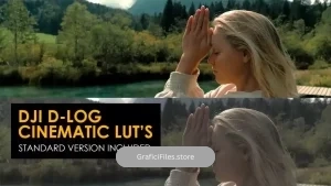 دانلود 23 پریست پریمیر اصلاح رنگ Cinematic DJI D-Log And Standard Luts