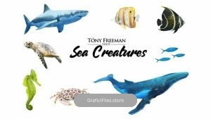 دانلود کلیپ آرت آبزیان Set of Sea Creatures