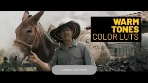 دانلود پریست رنگ گرم افترافکت Warm Tones LUTs