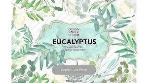 دانلود کلیپ آرت برگ اکالیپتوس آبرنگی Watercolor Eucalyptus leaves