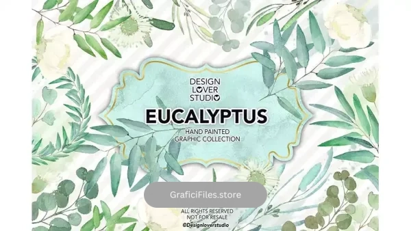 دانلود کلیپ آرت برگ اکالیپتوس آبرنگی Watercolor Eucalyptus leaves