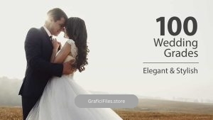 پریست اصلاح رنگ عروسی برای داوینچی ریزالو Wedding Color Corrections
