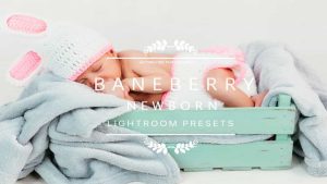 پریست عکس نوزاد برای لایت روم – BANEBERRY Newborn Lightroom Presets