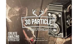 دانلود براش پارتیکل Particle Brushes