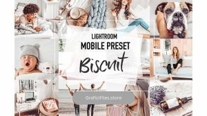 پریست تغییر رنگ برای لایت روم موبایل BISCUIT 4 Mobile Lightroom Presets