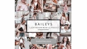 دانلود پریست لایت روم برای موبایل – NEW! Mobile Lightroom Preset BAILEYS