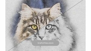 اکشن نقاشی سیاه قلم در فتوشاپ – Soft Pencil Art Action