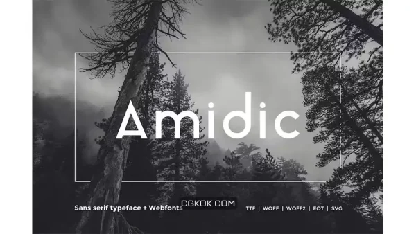 دانلود فونت انگلیسی مدرن Amidic – Modern San-serif Typeface + WebFont