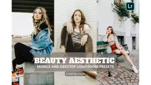 دانلود پریست لایت روم زیبایی Beauty Aesthetic Lightroom Presets Dekstop Mobile