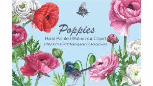 دانلود کلیپ آرت آبرنگی گل و پرنده Bird Watercolor Clipart