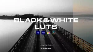 دانلود پریست رنگ سیاه و سفید Black&White LUTs Color Presets