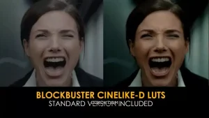 دانلود 20 پریست افترافکت اصلاح رنگ Blockbuster Cinelike-D And Standard Luts