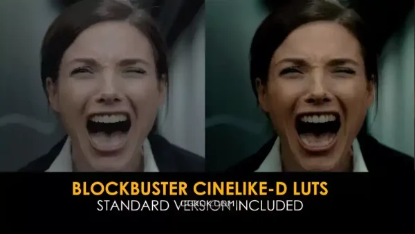دانلود 20 پریست افترافکت اصلاح رنگ Blockbuster Cinelike-D And Standard Luts