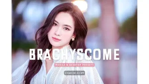 دانلود پریست لایت روم به همراه اکشن فتوشاپ Brachyscome Mobile & Desktop Lightroom Presets