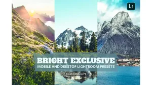 دانلود پریست لایت روم روشنایی Bright Exclu Lightroom Presets Dekstop Mobile File