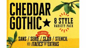 دانلود فونت انگلیسی Cheddar Gothic Font Family