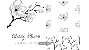 دانلود براش شکوفه گیلاس Cherry Blossom 2. Floral Design Element. Vector.