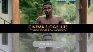 دانلود 22 پریست افترافکت اصلاح رنگ Cinema Slog2 And Standard Luts