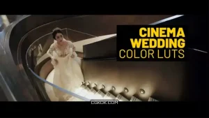 دانلود پریست اصلاح رنگ عروسی Cinema Wedding LUTs