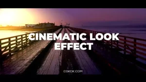 دانلود 8 پریست پریمیر سینمایی Cinematic Look Effect