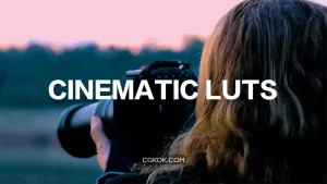 دانلود پریست افترافکت رنگ سینمایی Cinematic LUTs