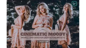دانلود پریست لایت روم سینمایی Cinematic Moody Lightroom Presets Dekstop Mobile