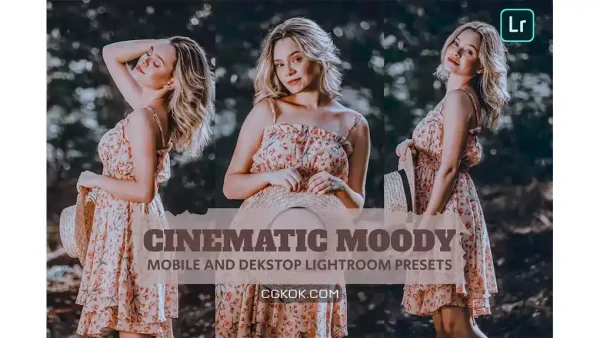 دانلود پریست لایت روم سینمایی Cinematic Moody Lightroom Presets Dekstop Mobile