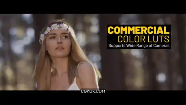 دانلود پریست رنگ Commercial LUTs
