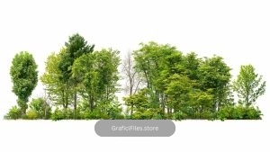 دانلود تصویر کات اوت درخت و درختچه