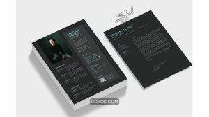 دانلود قالب آماده ورد رزومه Dark Resume Word