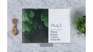 دانلود قالب ایندیزاین بروشور گیاهان زینتی Decorative Plants Brochure A5