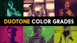 پریست اصلاح رنگ Duotone Color Grades