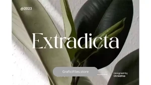 دانلود فونت انگلیسی کلاسیک Extradicta Classic Serif Font