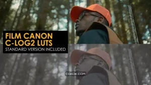 دانلود 22 پریست اصلاح رنگ افترافکت Film Canon C-Log2 And Standard Luts