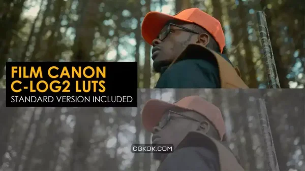 دانلود 22 پریست اصلاح رنگ افترافکت Film Canon C-Log2 And Standard Luts