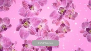 دانلود فوتیج گل ارکیده Flowers Falling Orchid