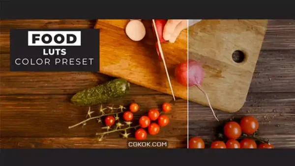 پریست داوینچی ریزالو اصلاح رنگ غذا Food LUTs