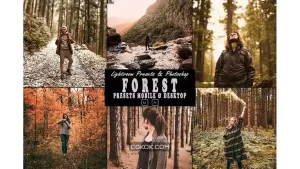دانلود پریست لایت روم جنگل به همراه اکشن فتوشاپ Forest Tone Photoshop Action & Lightrom Presets