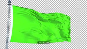 دانلود فوتیج پرچم سبز Green Flag Animation