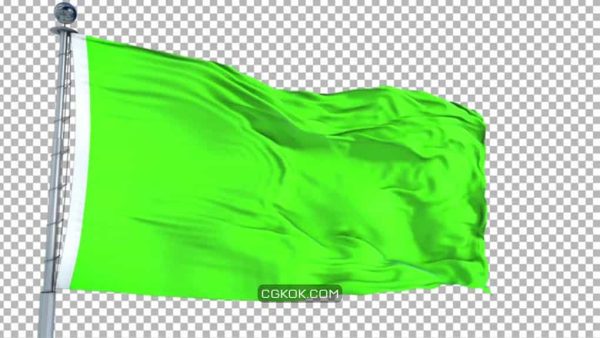 دانلود فوتیج پرچم سبز Green Flag Animation