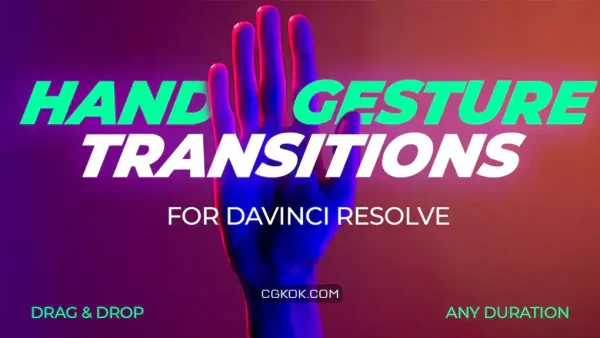 ترانزیشن داوینچی ریزالو ژست دست Hand Gesture Transitions