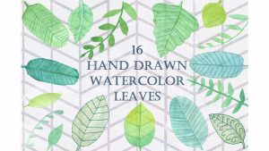 دانلود کلیپ آرت برگ آبرنگی Handpainted Watercolor Leaves