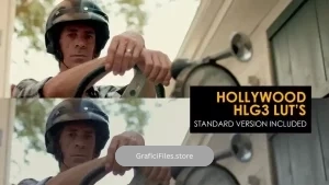 دانلود پریست افترافکت اصلاح رنگ هالیوودی Hollywood HLG3 And Standard Luts