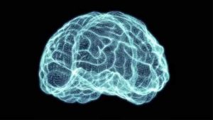 دانلود فوتیج Holographic Grid Brain
