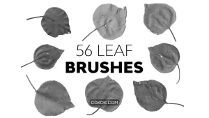 دانلود براش برگ فتوشاپ Leaf Brushes