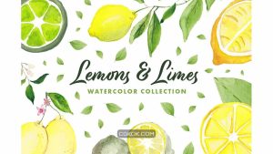 دانلود کلیپ آرت آبرنگی لیمو Lemons & Limes Watercolor Collection