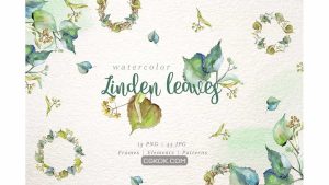 دانلود کلیپ آرت آبرنگی برگ Linden Leaves Watercolor Png