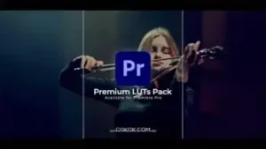 دانلود مجموعه پریست رنگی سینمایی – Cine Pack Video LUTs